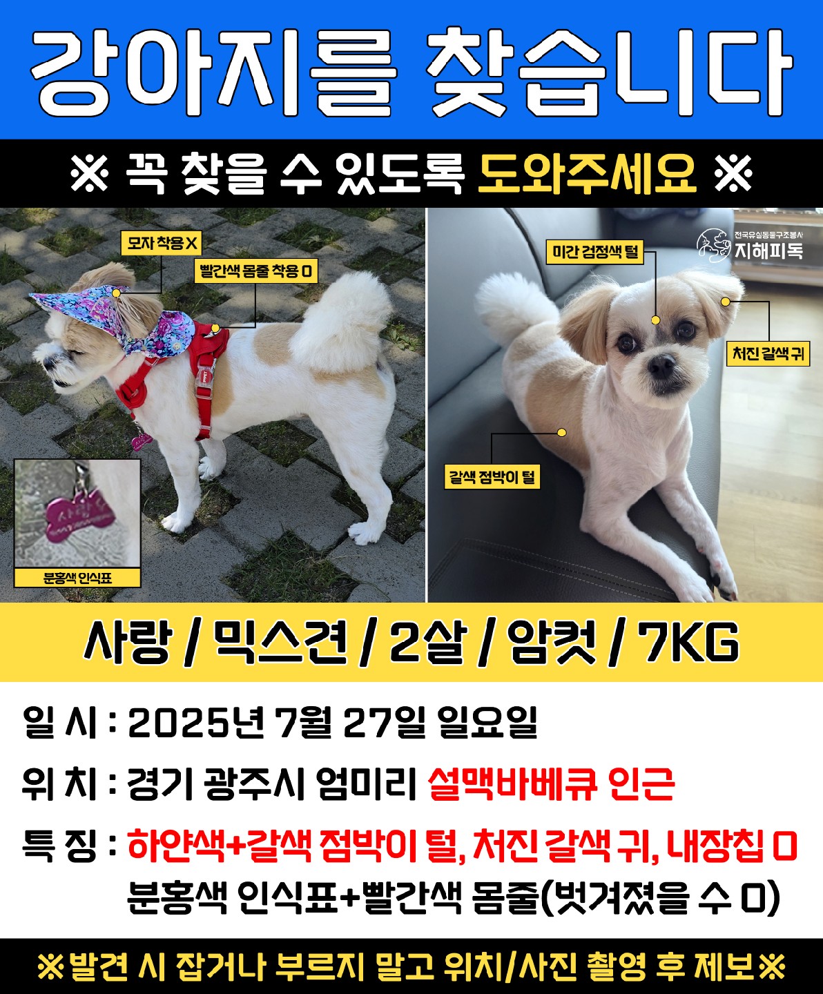 Post image 12