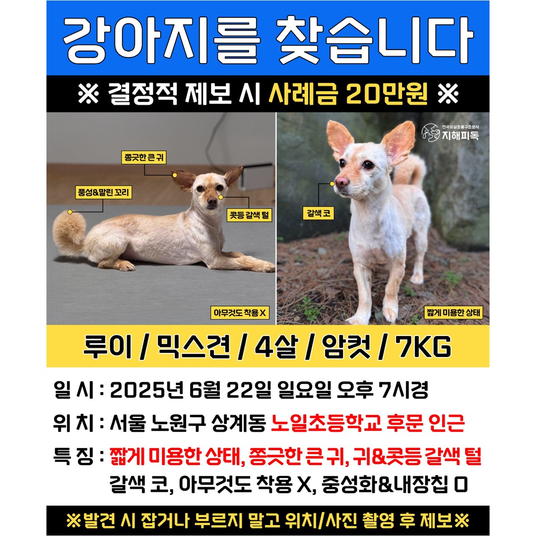 Post image 12