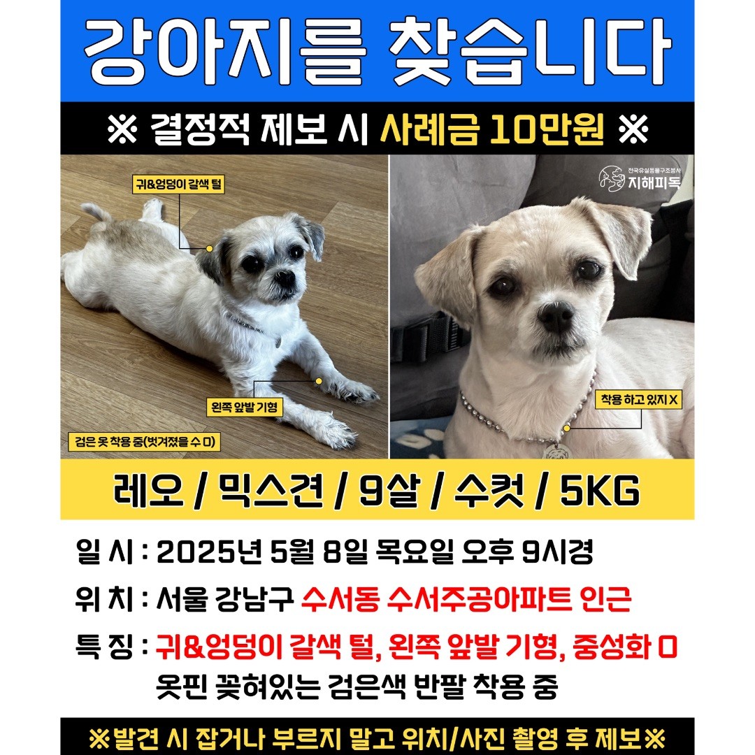 Post image 13