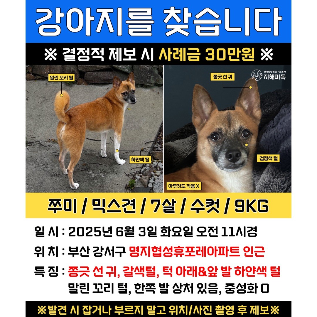 Post image 8