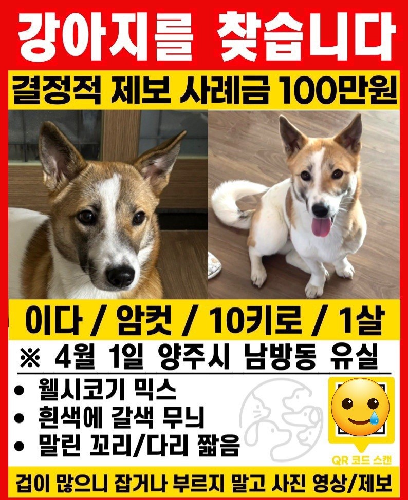 Post image 13