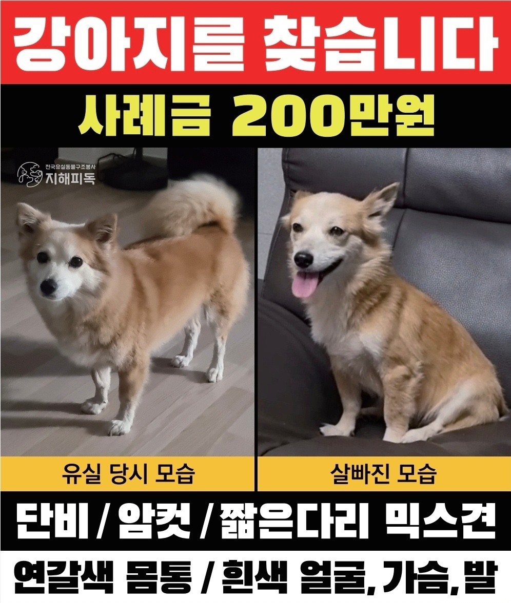 Post image 18