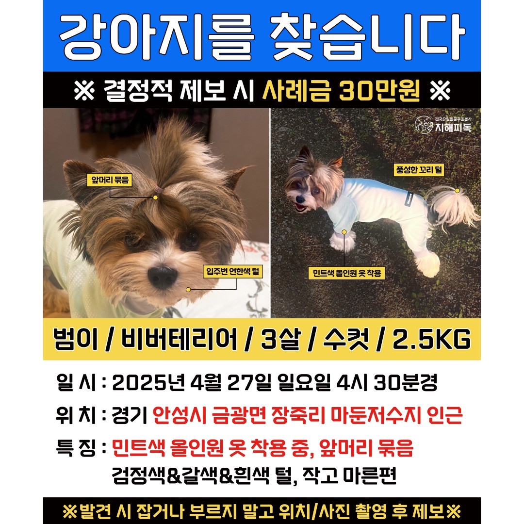 Post image 16