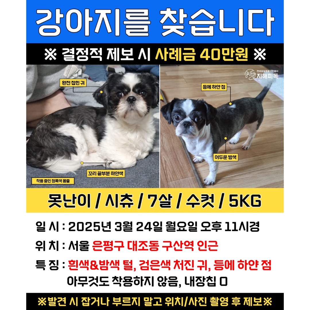 Post image 14
