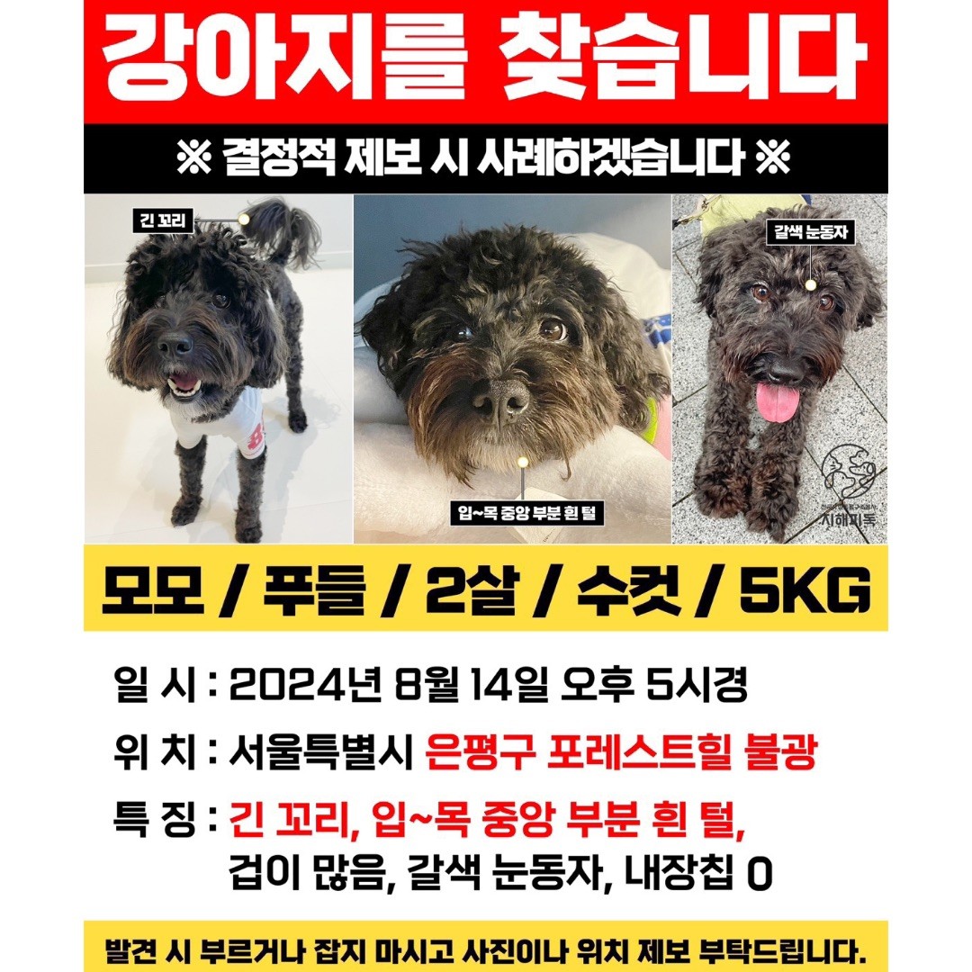 Post image 16