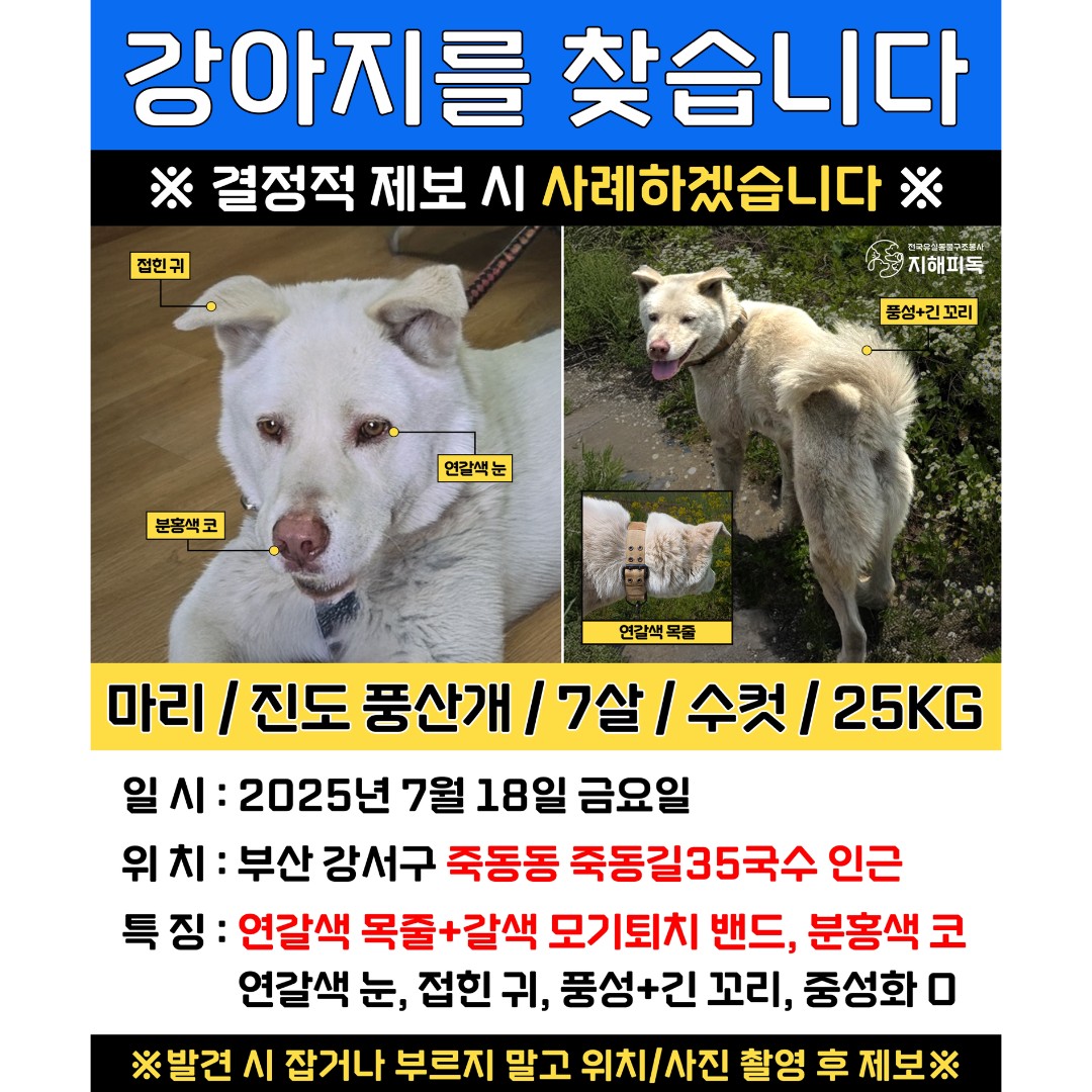 Post image 12