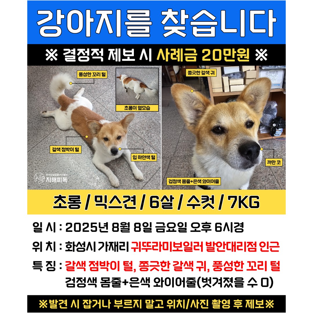 Post image 11