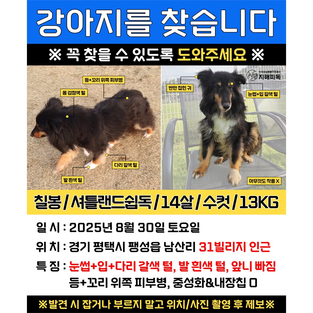 Post image 15