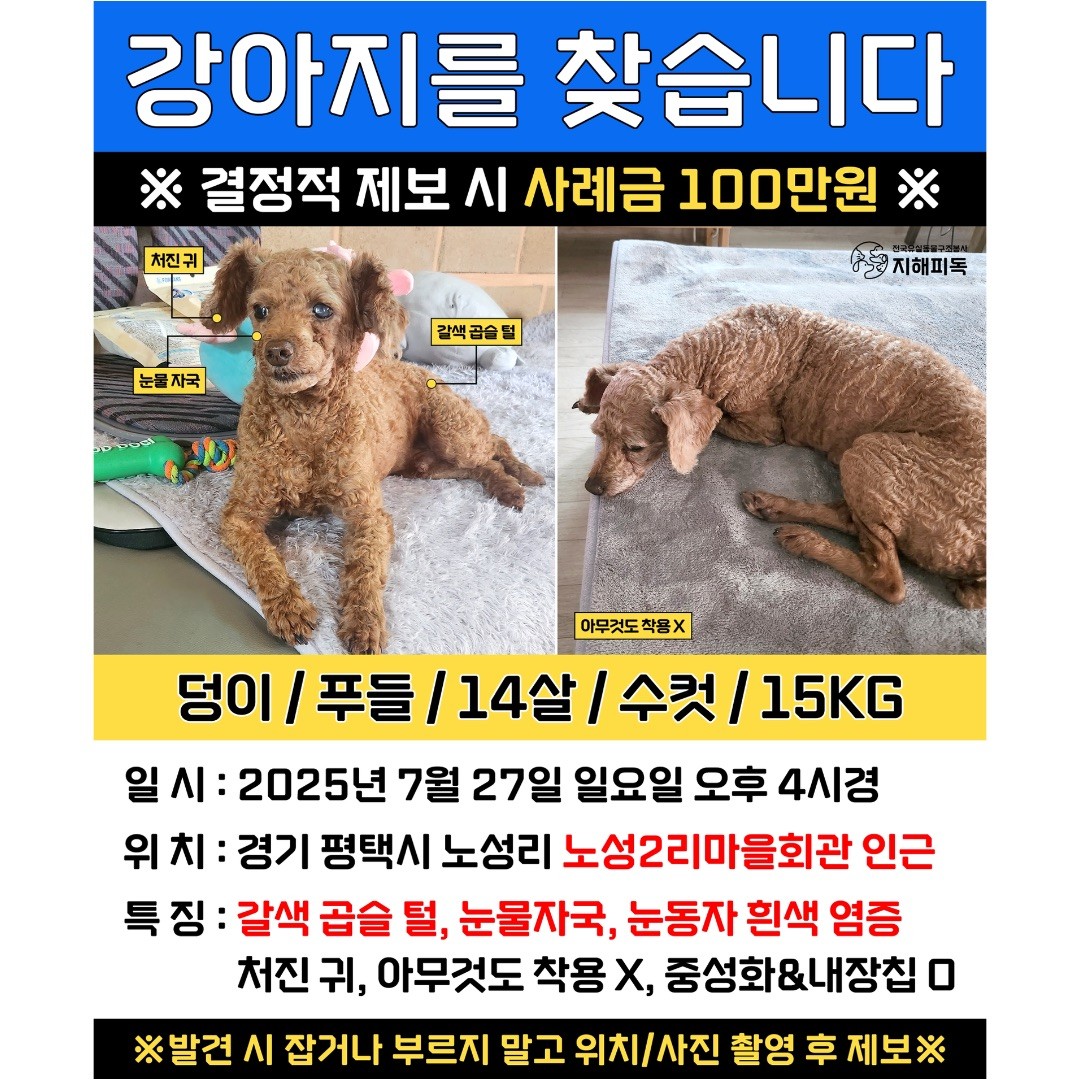 Post image 18