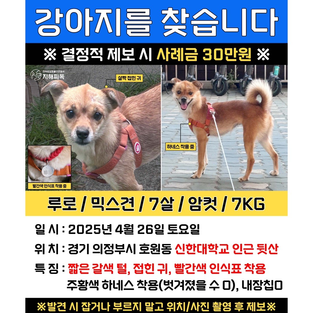 Post image 17