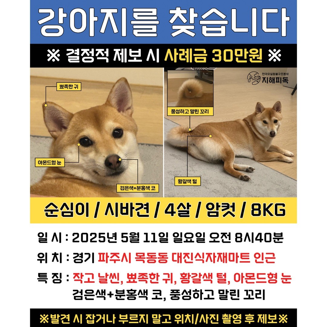 Post image 21