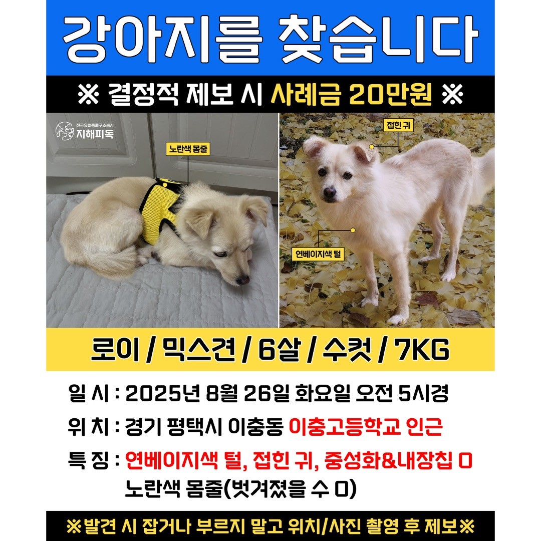 Post image 14