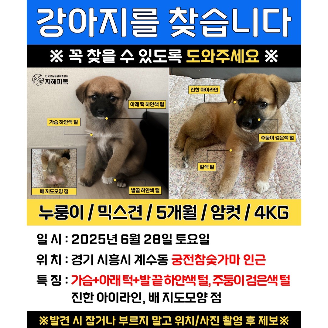 Post image 16