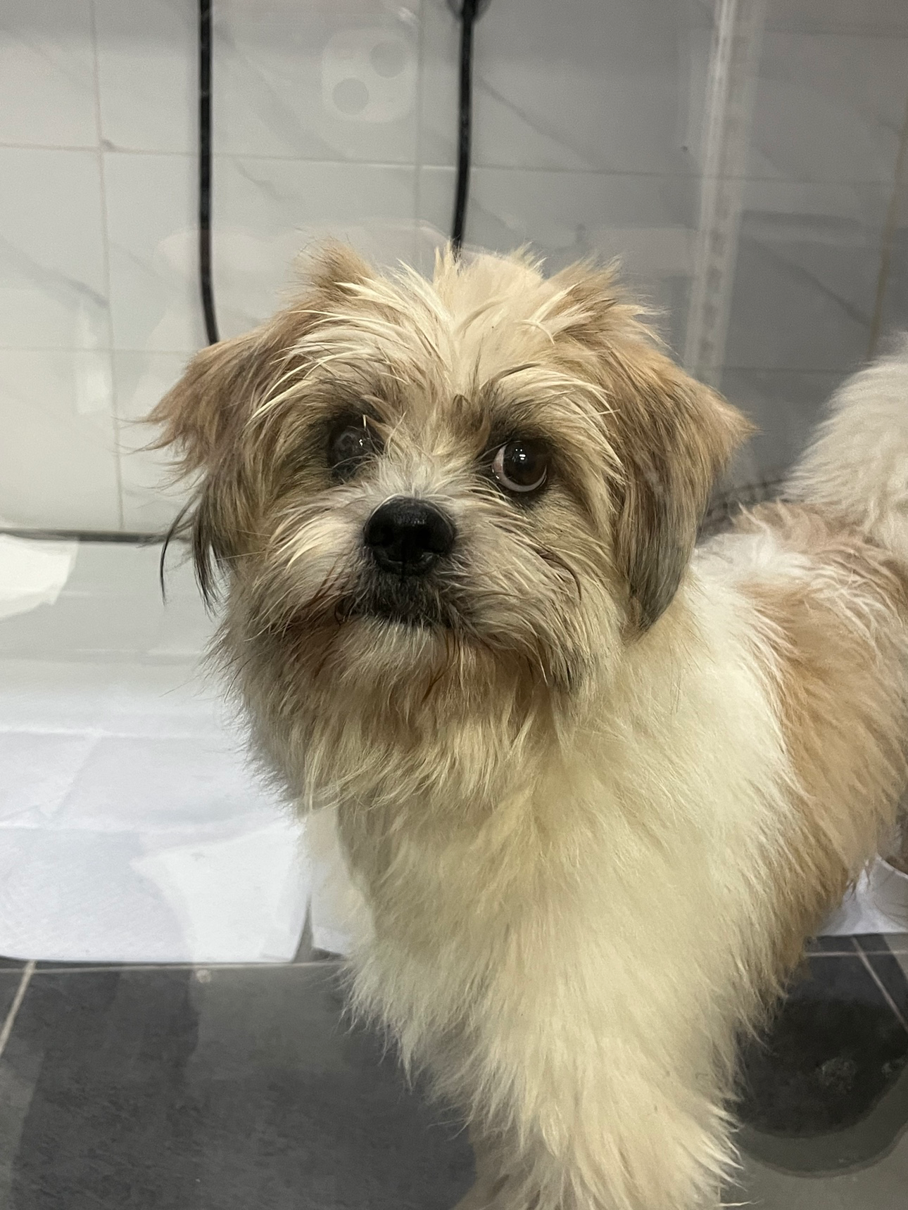 Post image 4