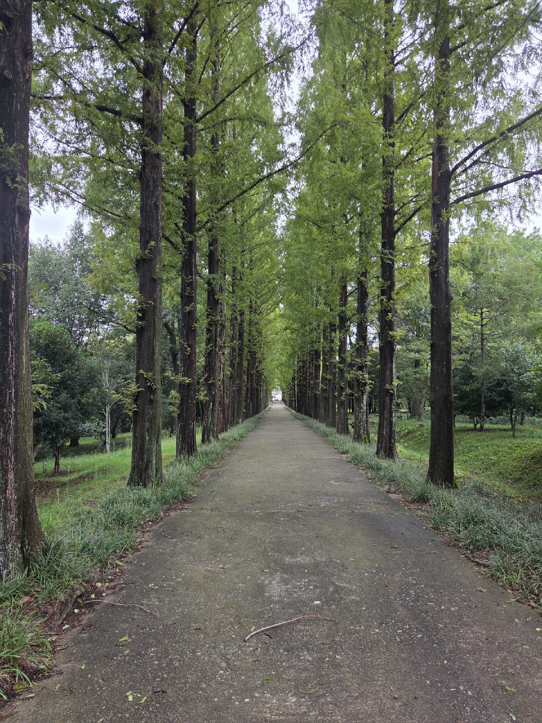 안녕하세요. 공샘 입니다.