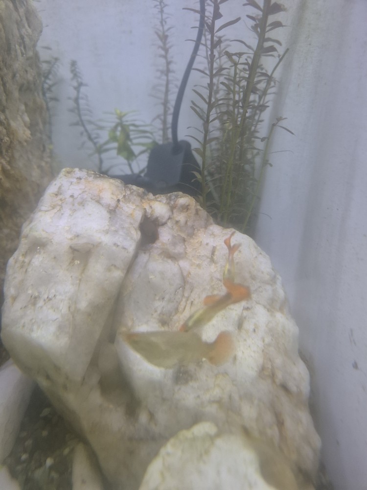Post image 15