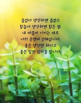 5060 싱글, 동행하는 인생