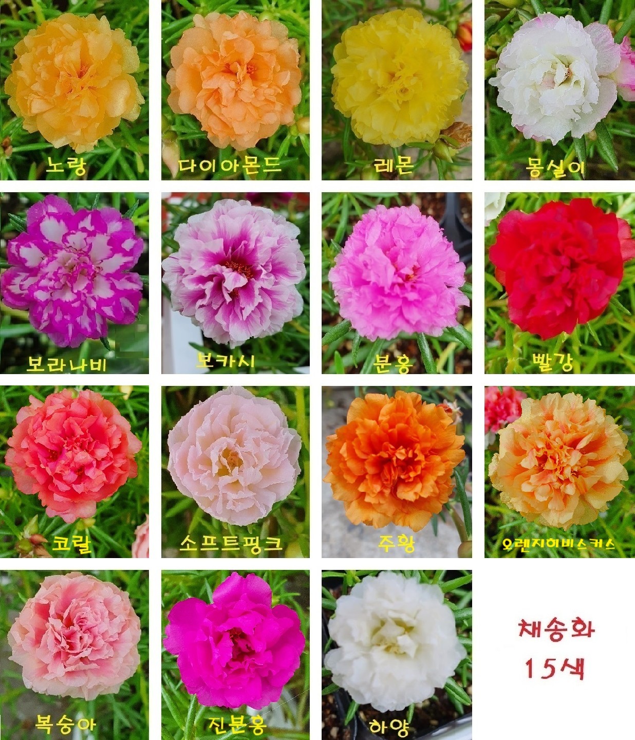 Post image 8
