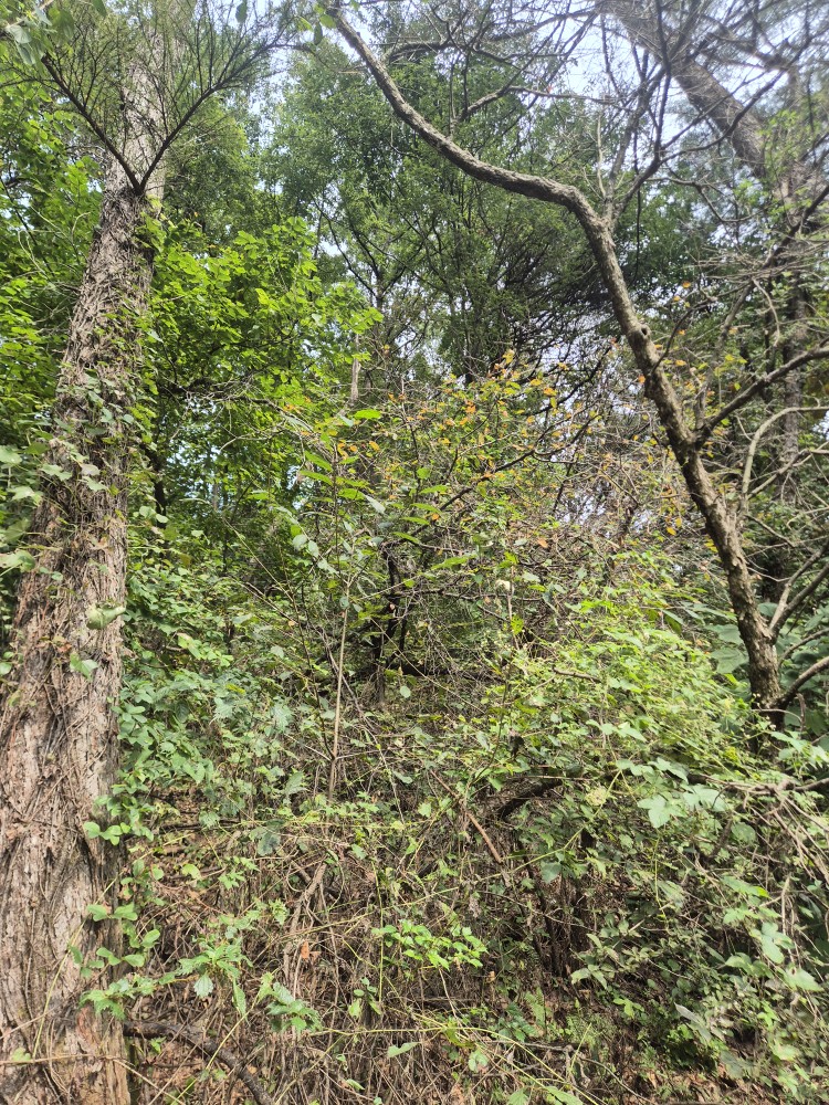 Post image 14