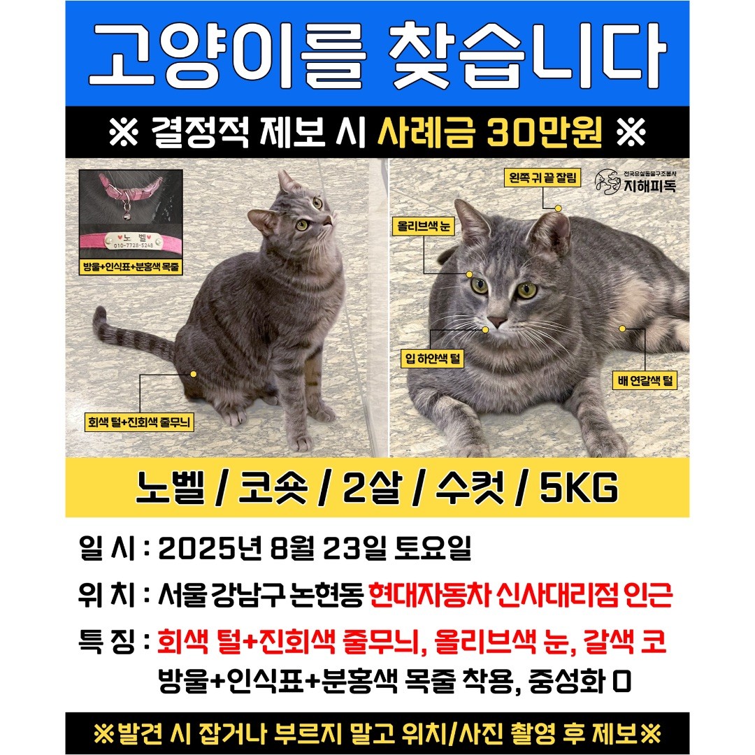 Post image 14