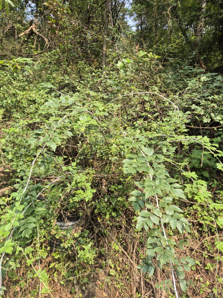 Post image 15