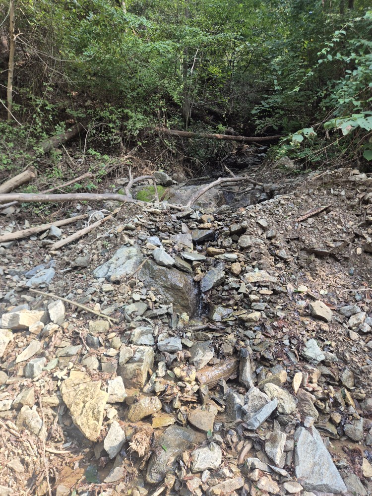 Post image 6
