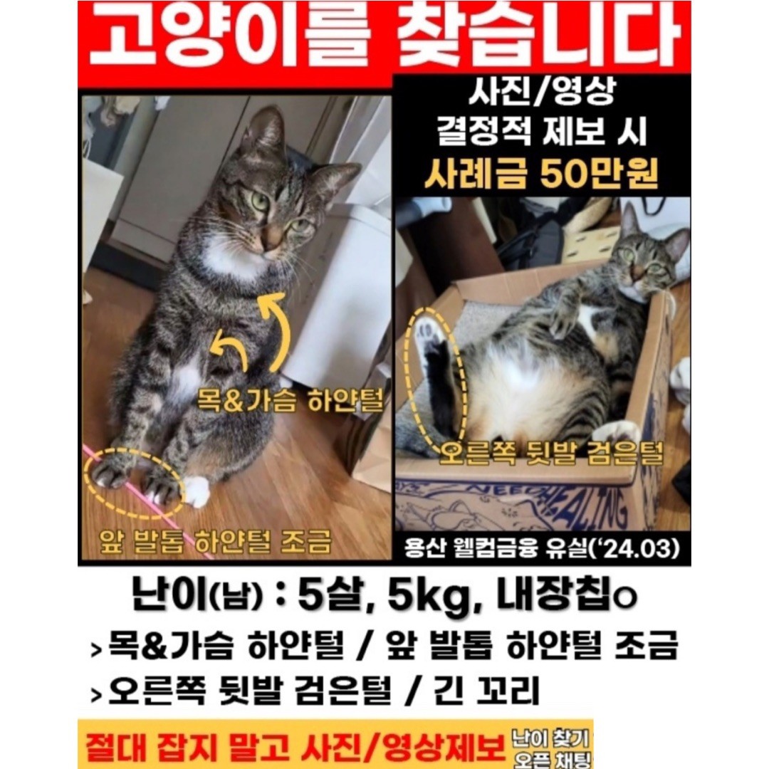 Post image 8