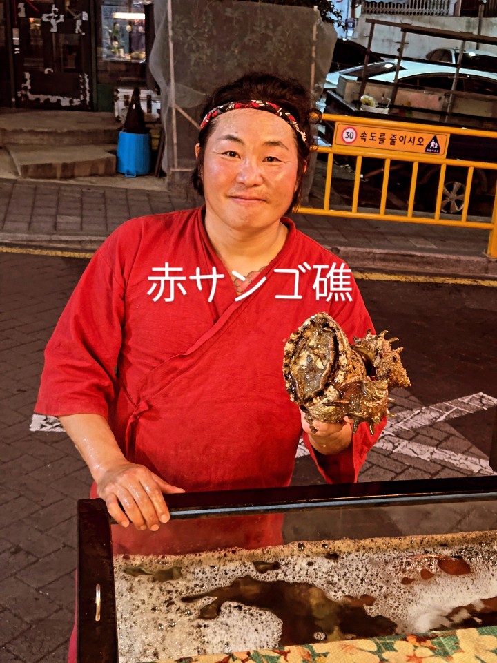 웬만해선 먹을수 없을껄?