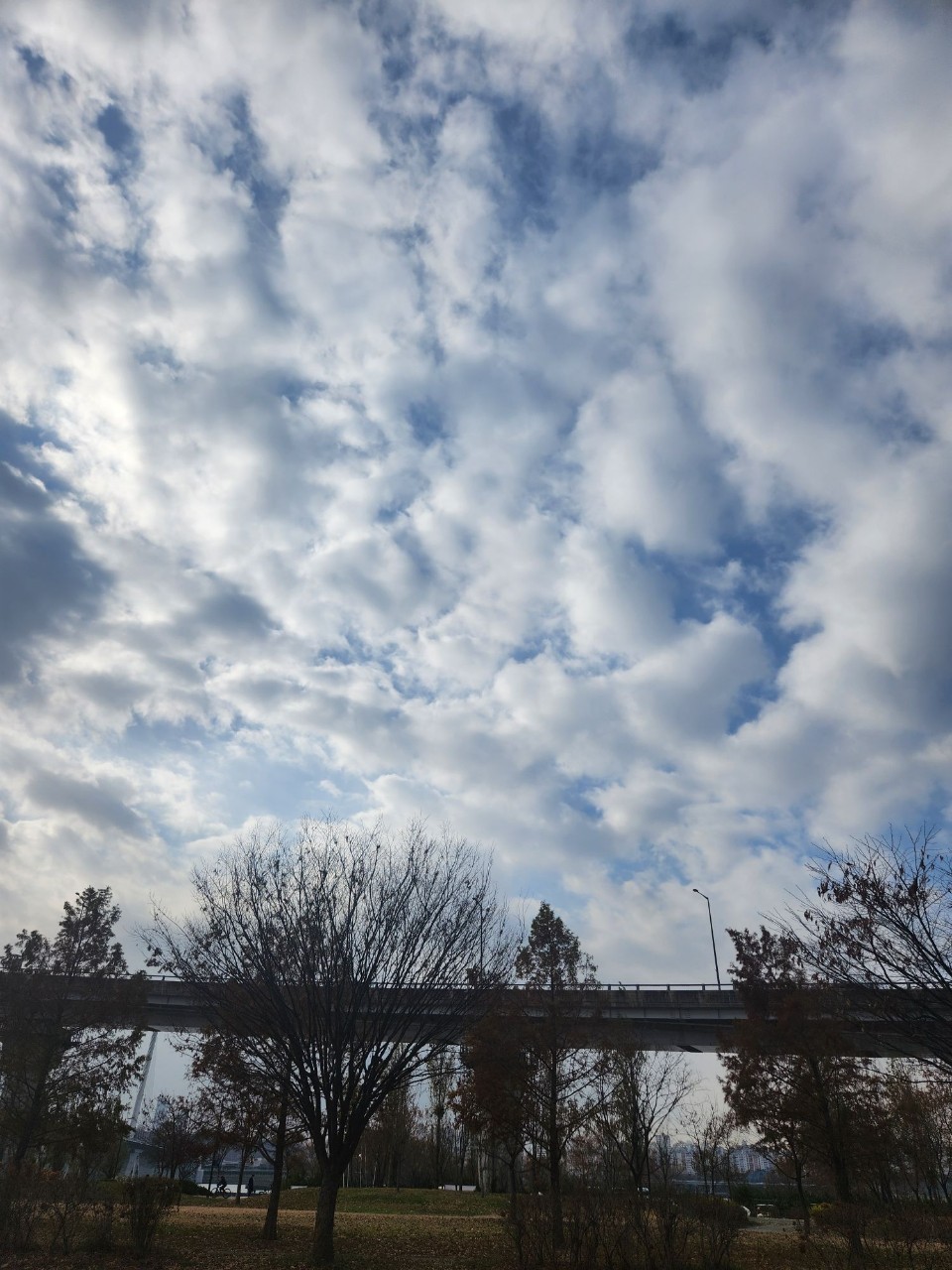 Post image 45