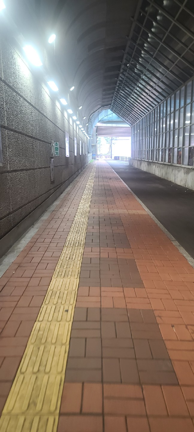 부끄럽지만 밖에서 런닝이란걸 처음해봐요~