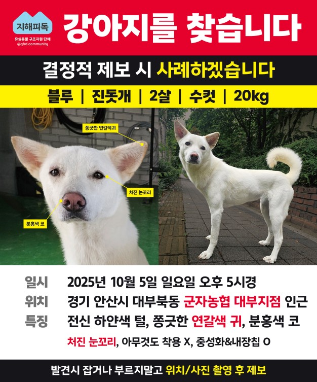 Post image 25