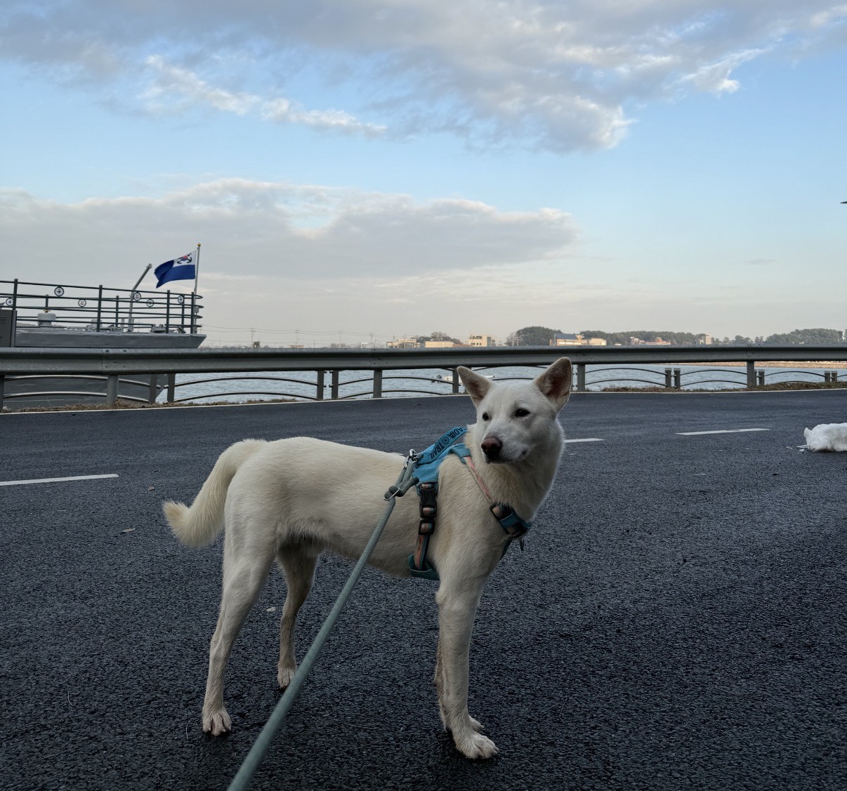 Post image 22