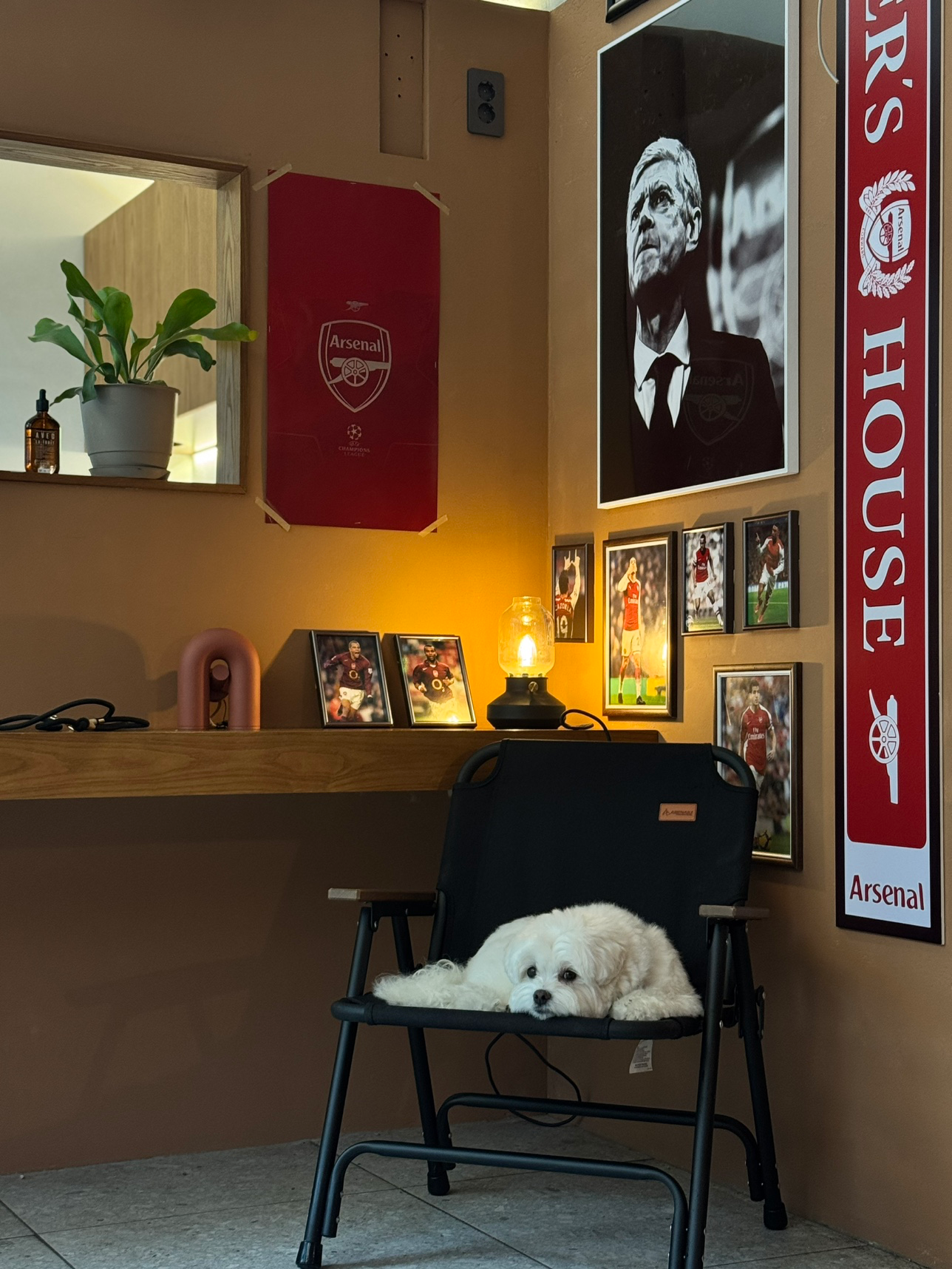 Post image 14