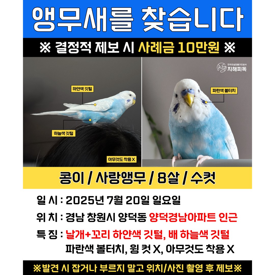 Post image 13