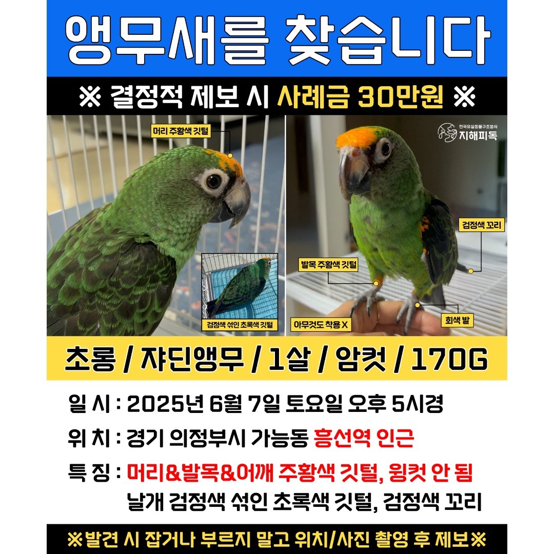 Post image 10