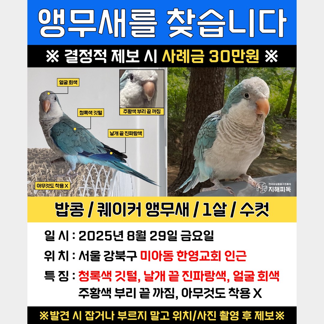 Post image 9