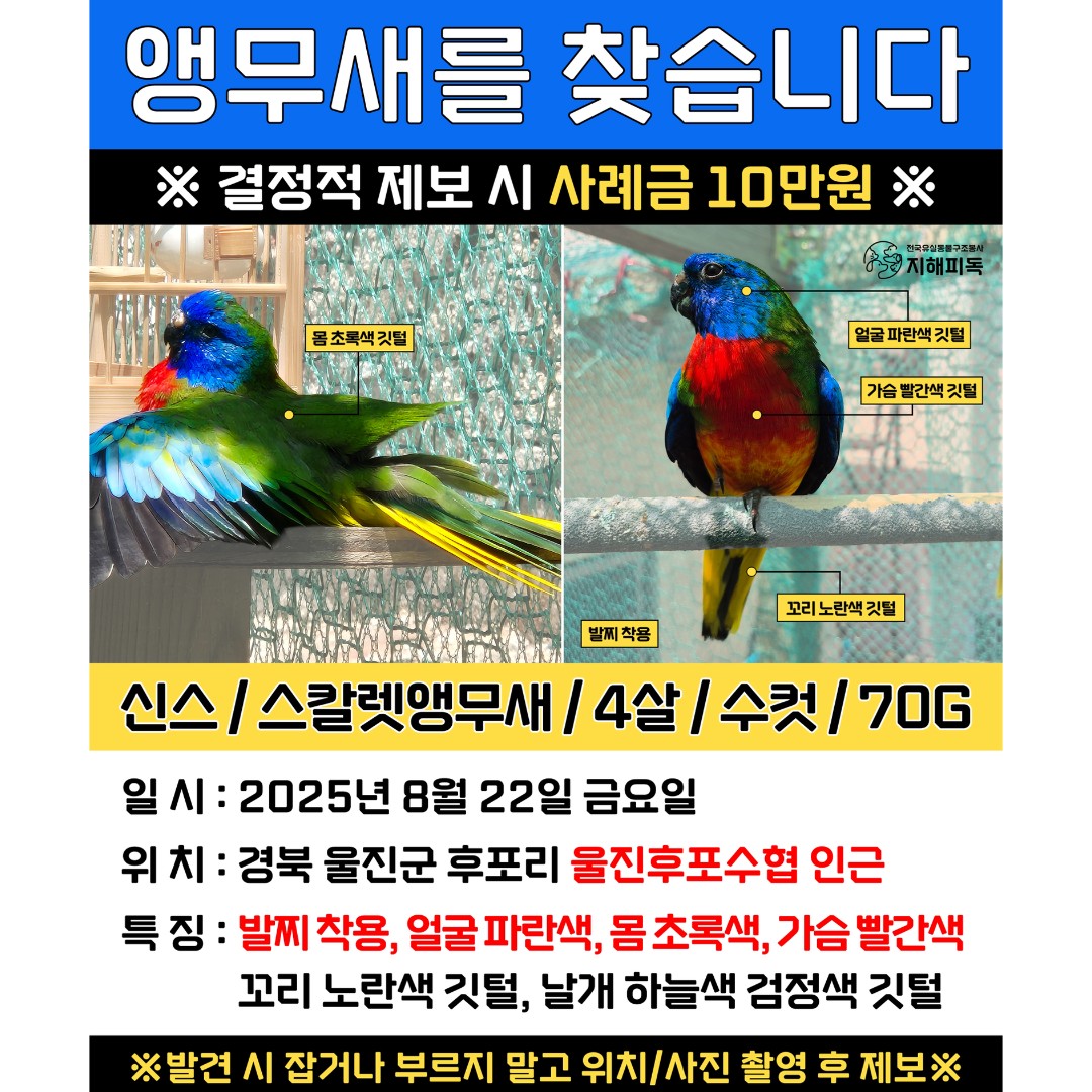 Post image 15