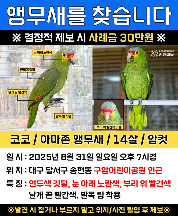 Post image 12
