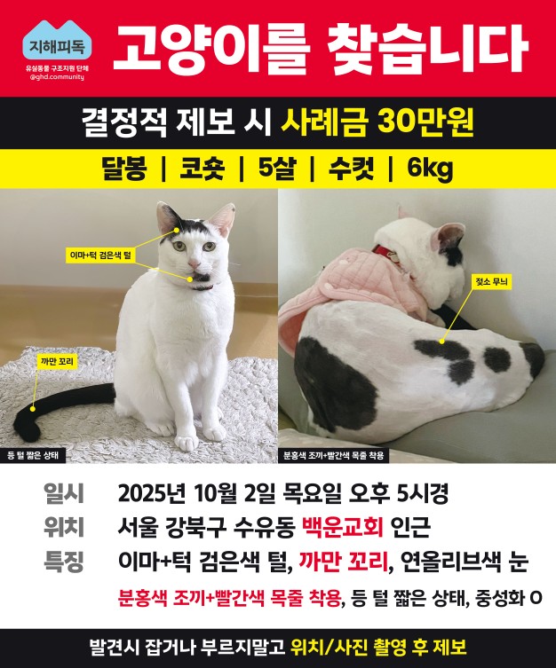 Post image 6