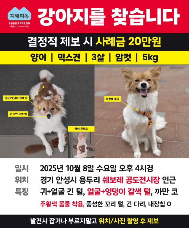 Post image 18