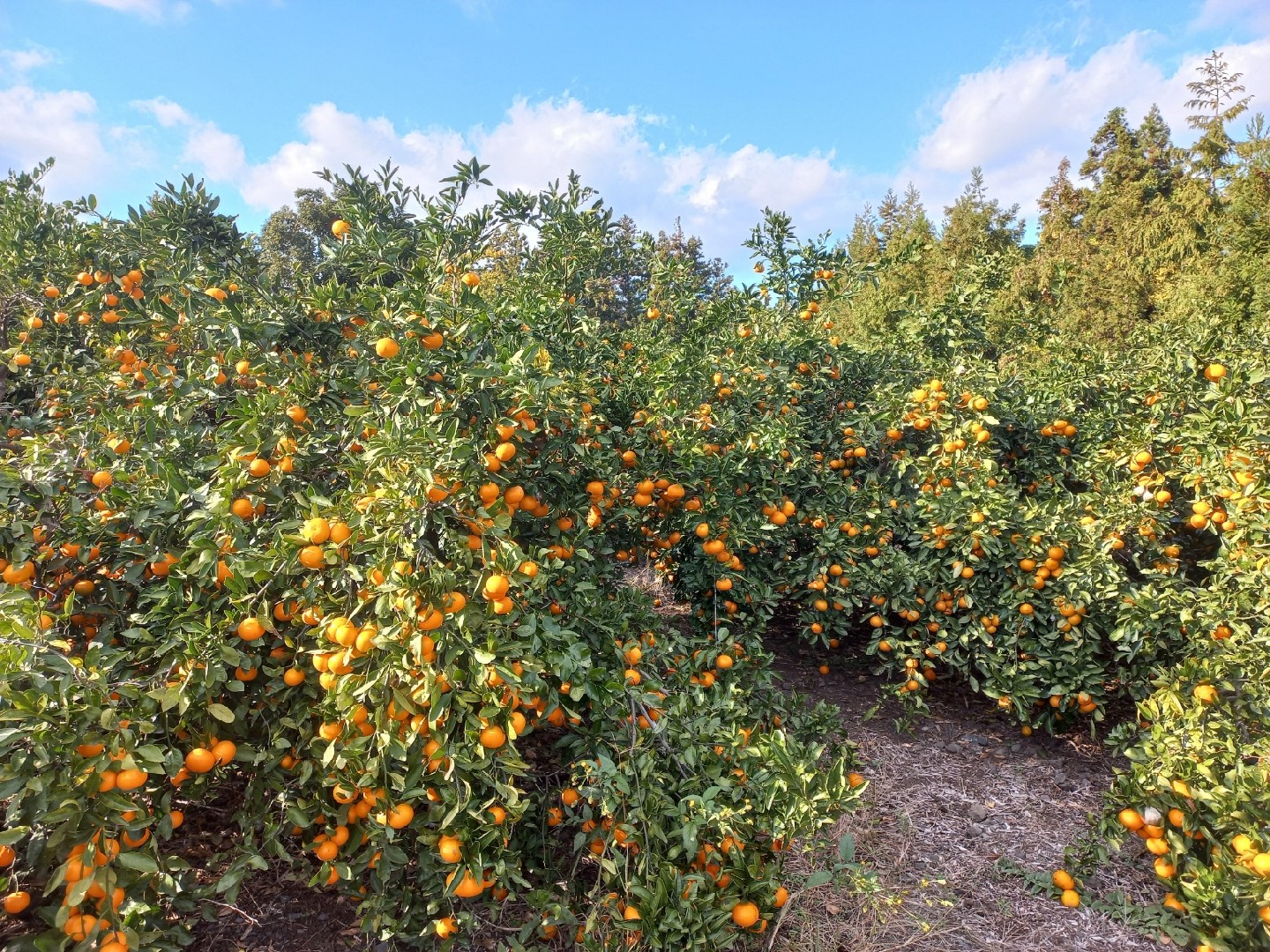 다들 반갑습니다.