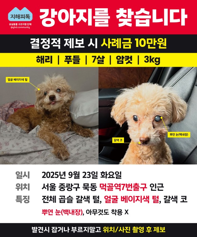Post image 25