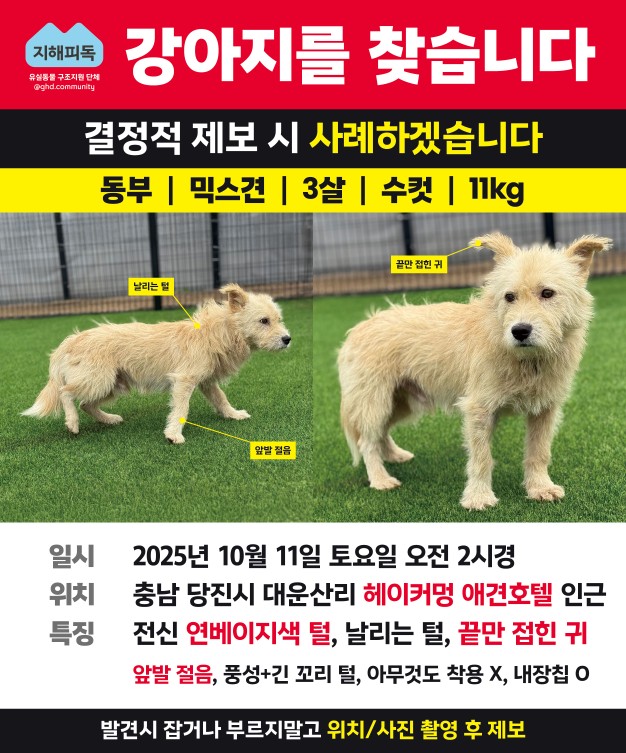 Post image 18