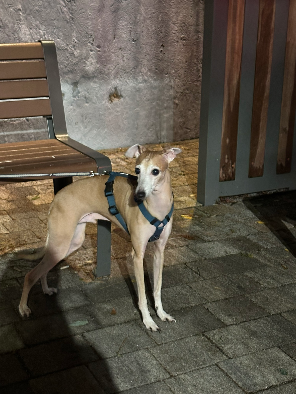 너무너무 이쁘고 귀여울때!