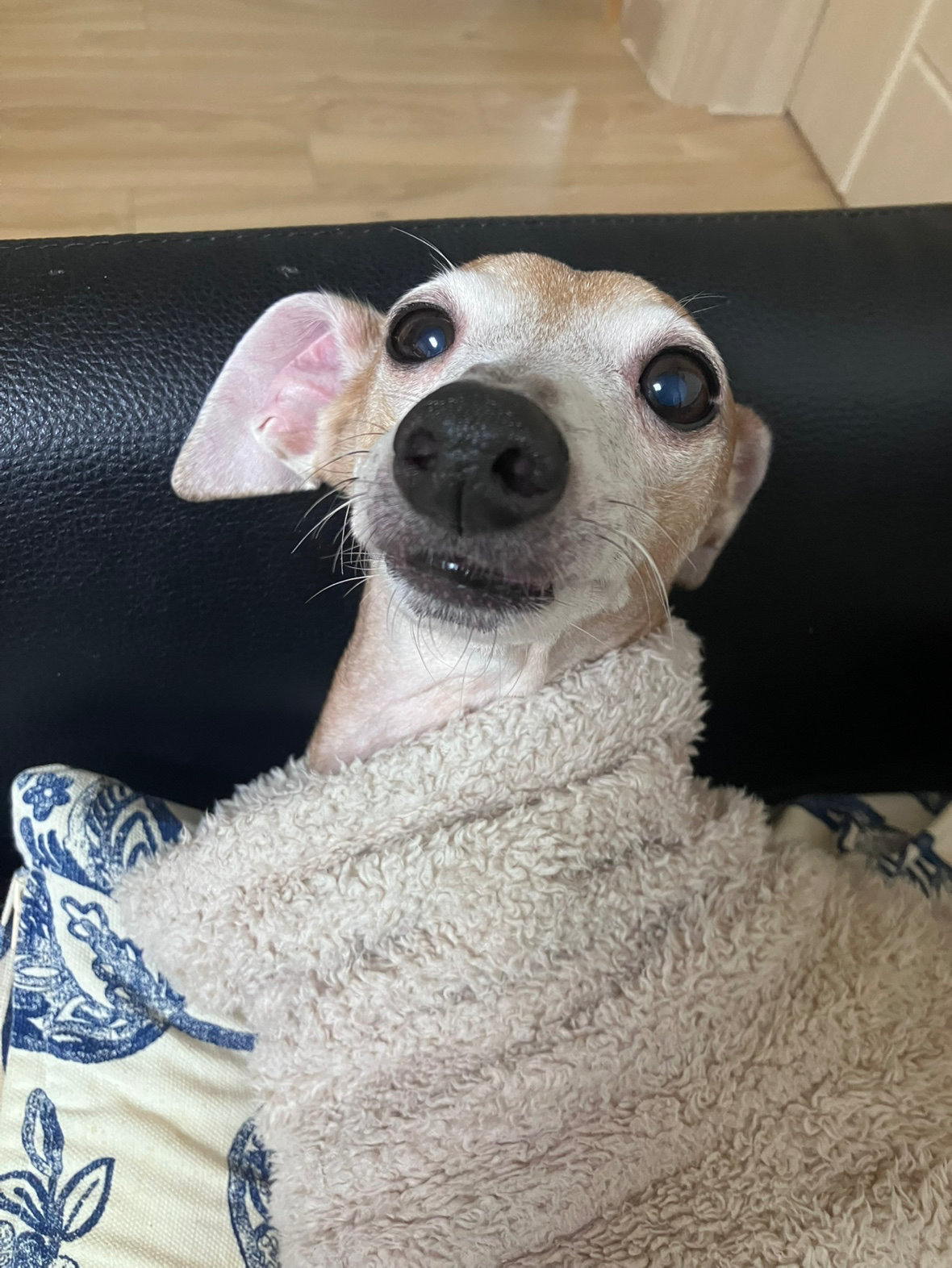 너무너무 이쁘고 귀여울때!