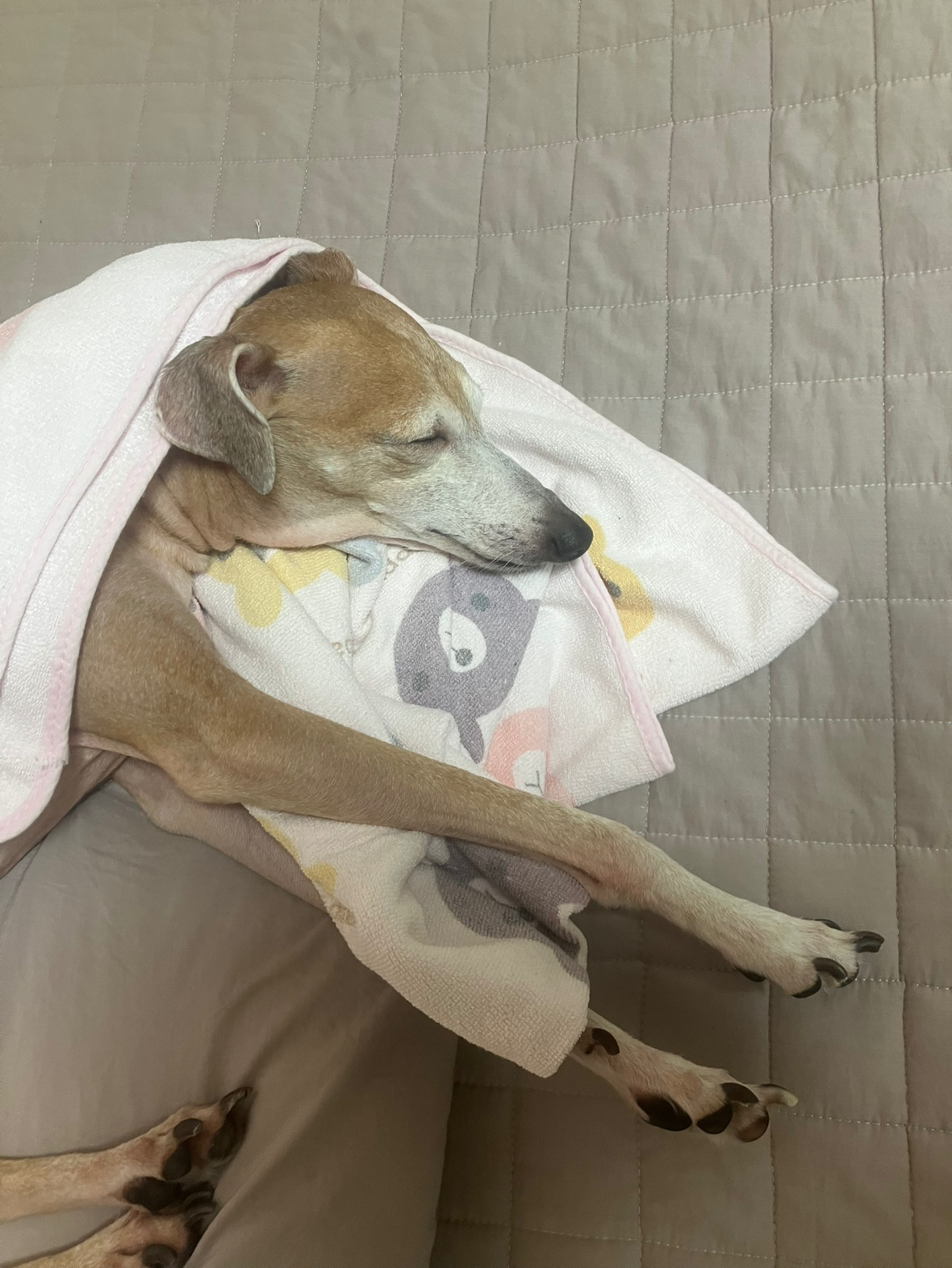 너무너무 이쁘고 귀여울때!