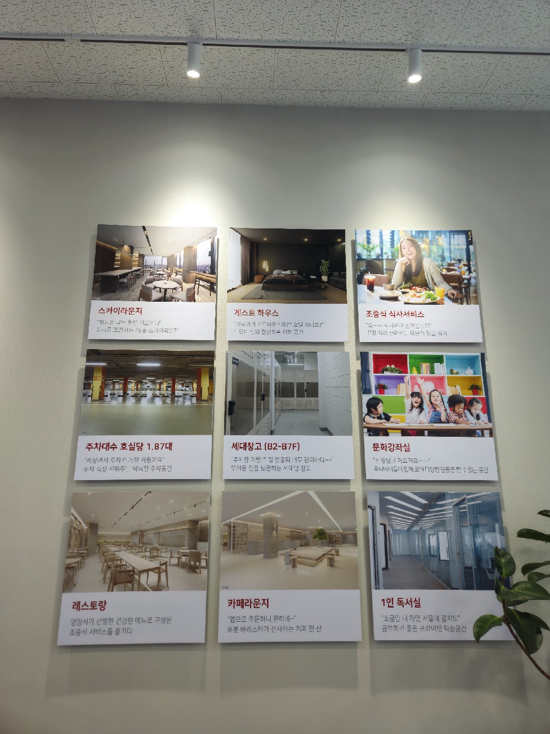 Post image 6
