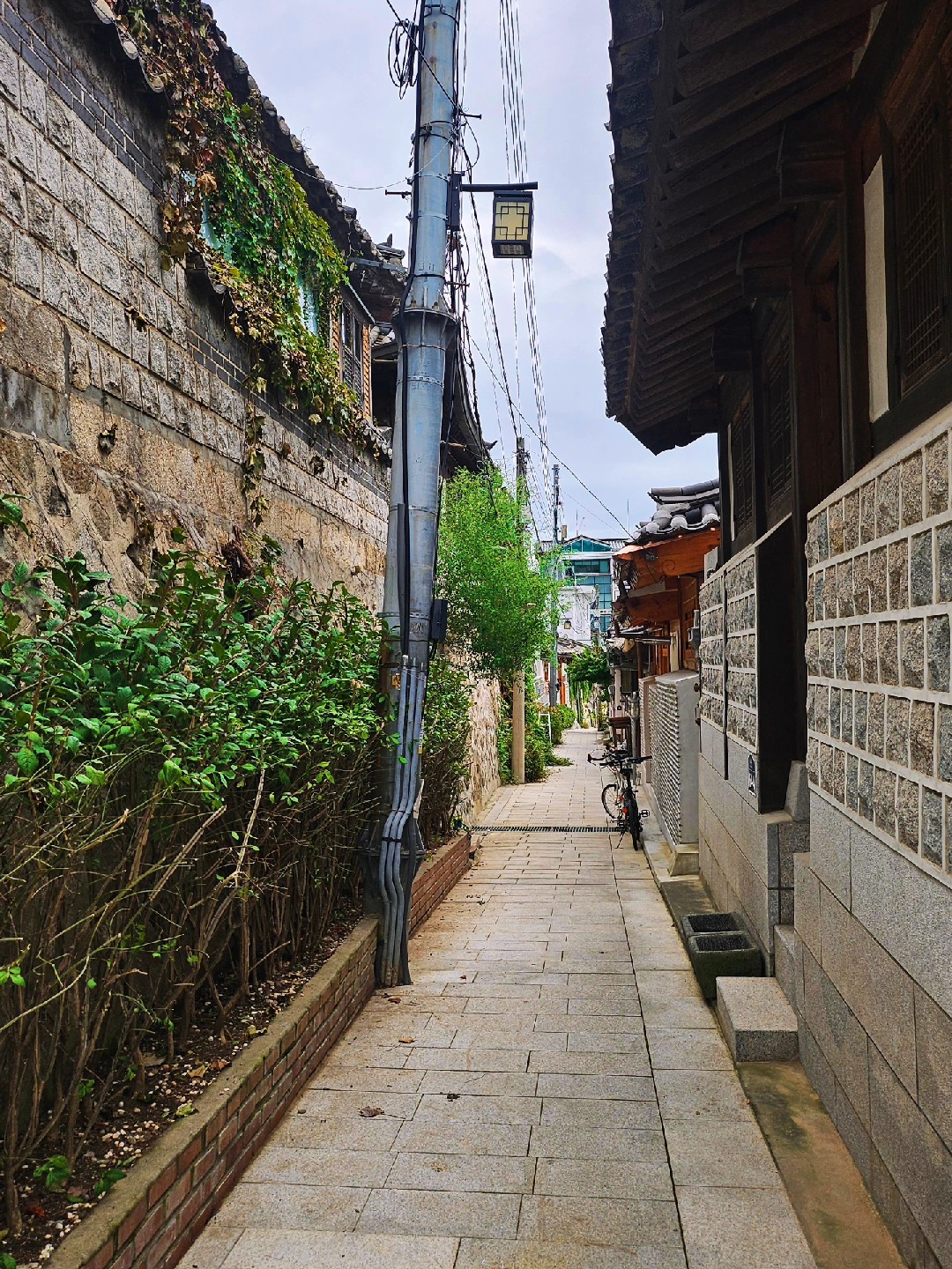 고민들이 한겹한겹 쌓여 숲이 될것 같아요.