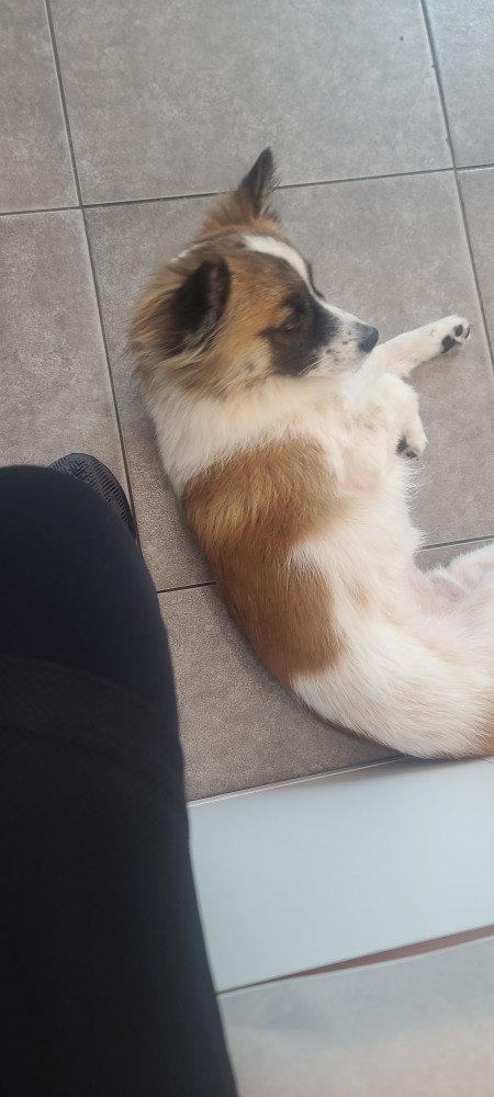 런닝하고 카페 와서 샌드위치 픽업하는데