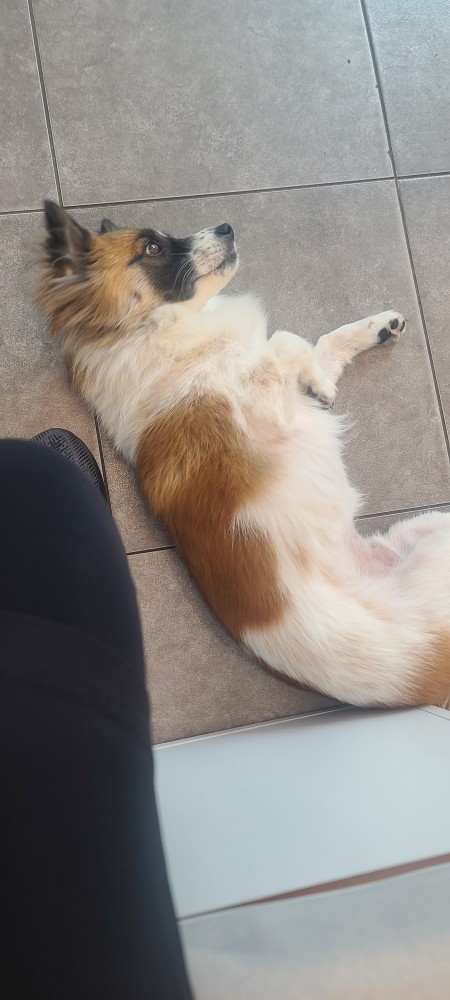 런닝하고 카페 와서 샌드위치 픽업하는데